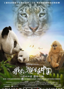 楊洋《凡人修仙傳》斗笠造型